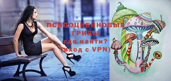 ГАЛЛЮЦИНОГЕННЫЕ ГРИБЫ Красноперекопск