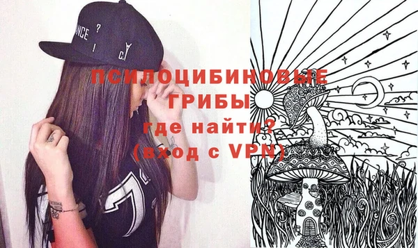 крисы Кулебаки