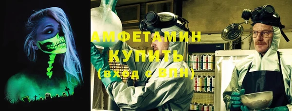 крисы Кулебаки