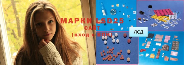 крисы Кулебаки