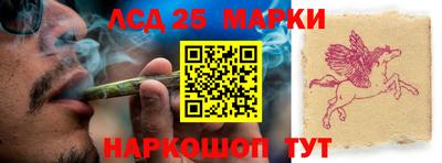 гидра Новодвинск