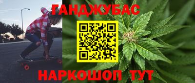 гидра Новодвинск