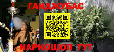 гидра Новодвинск