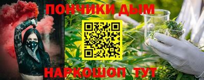 гидра Новодвинск