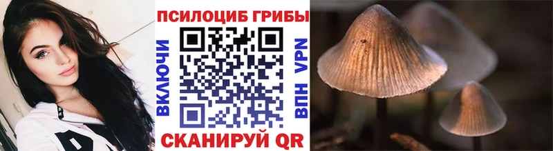 Галлюциногенные грибы Psilocybe  продажа наркотиков  omg рабочий сайт  Фрязино 