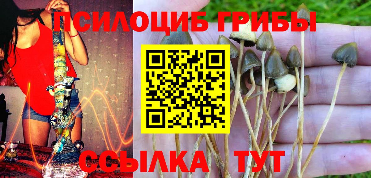 Фрязино  Гашиш  Кокаин  Alpha-PVP СК кристаллы  ЭКСТАЗИ  Вход с VPN  Конопля  Меф кристаллы 