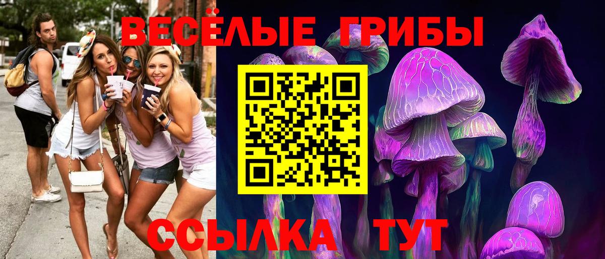 Псилоцибиновые грибы MAGIC MUSHROOMS Фрязино