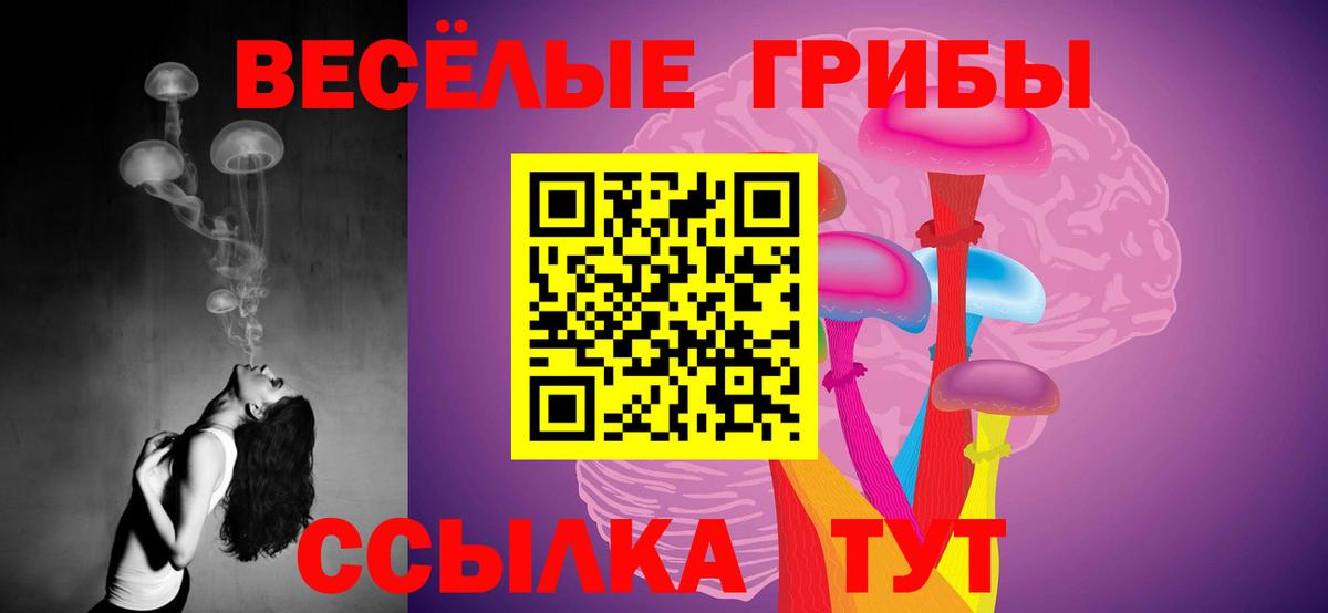 Галлюциногенные грибы Cubensis  Вход с VPN  Фрязино 