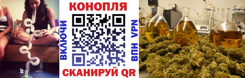omg рабочий сайт Фрязино Каннабис индика закладки